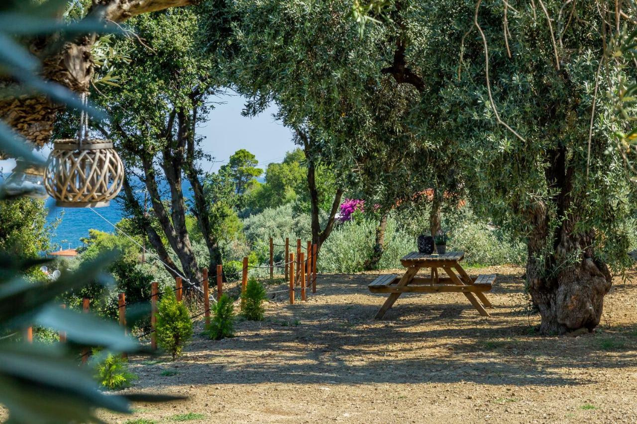Olive Grove Apartment Bandar Skopelos Luaran gambar
