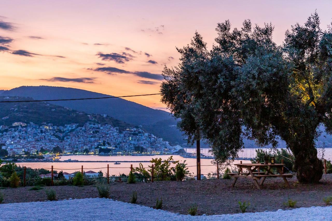 Olive Grove Apartment Bandar Skopelos Luaran gambar