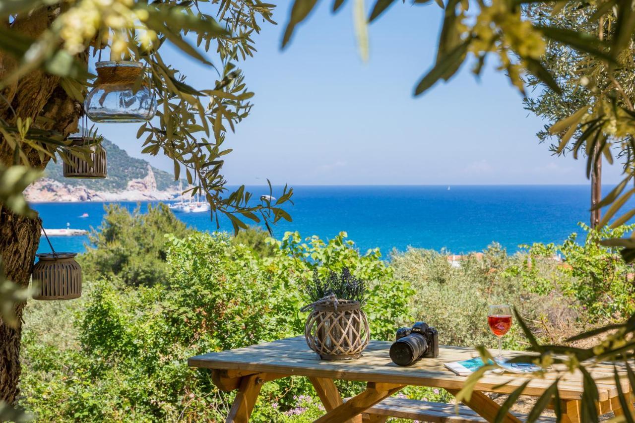 Olive Grove Apartment Bandar Skopelos Luaran gambar