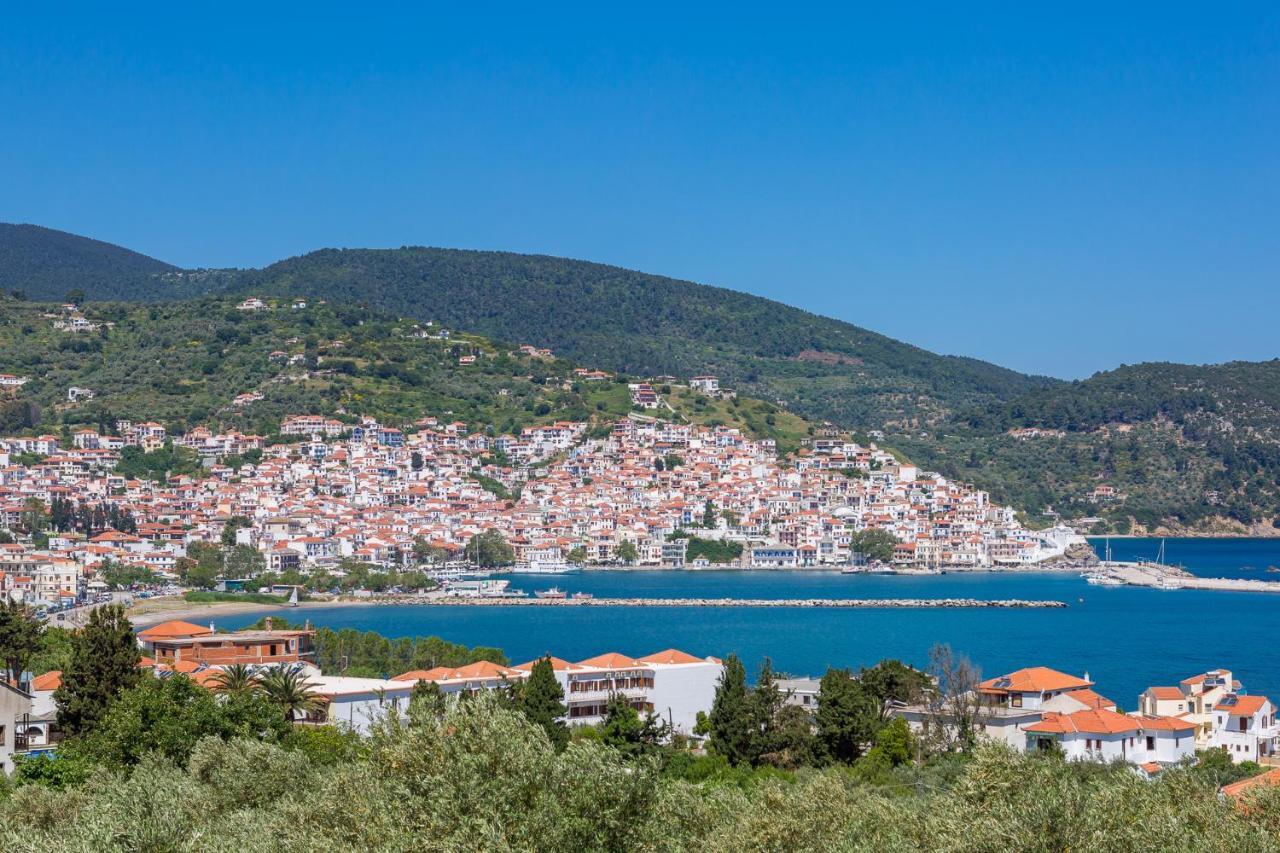 Olive Grove Apartment Bandar Skopelos Luaran gambar